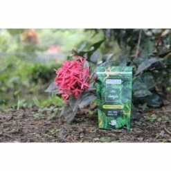 BERGER-WORLD Little Jungle 120g Réservoir D'Eau Solide Pour Plantes D'intérieur - LAUREAT PRIX JDC 2022 -Promos Récupération Magasin 54890723 5