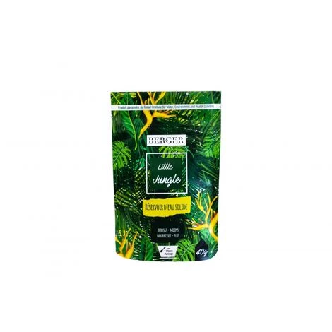 BERGER-WORLD Little Jungle 40g Réservoir D'Eau Solide Pour Plantes D'intérieur - LAUREAT PRIX JDC 2022 3 BERGER-WORLD Little Jungle 40g Réservoir D'Eau Solide Pour Plantes D'intérieur - LAUREAT PRIX JDC 2022